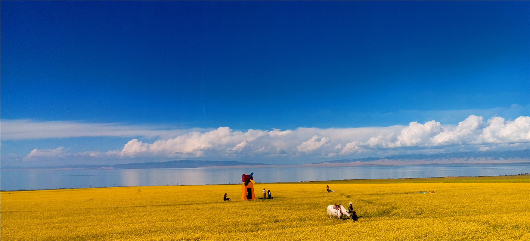 《大美青?！穭㈤?/>
                                    <div   id=