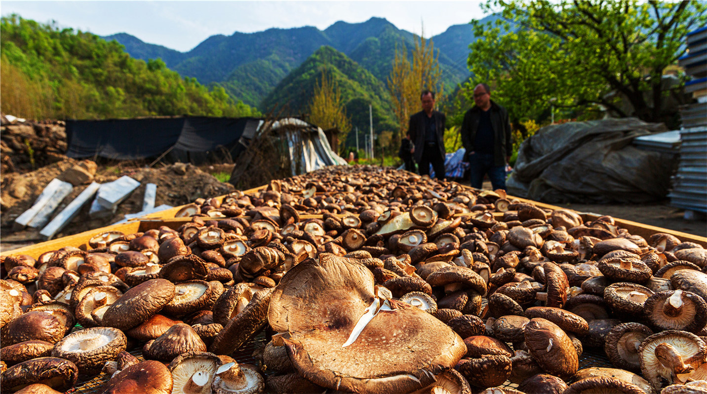 《結(jié)對幫扶，碩果累累》高波